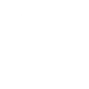 Raybotix Digital